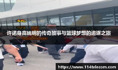 许诺身高姚明的传奇故事与篮球梦想的追逐之旅